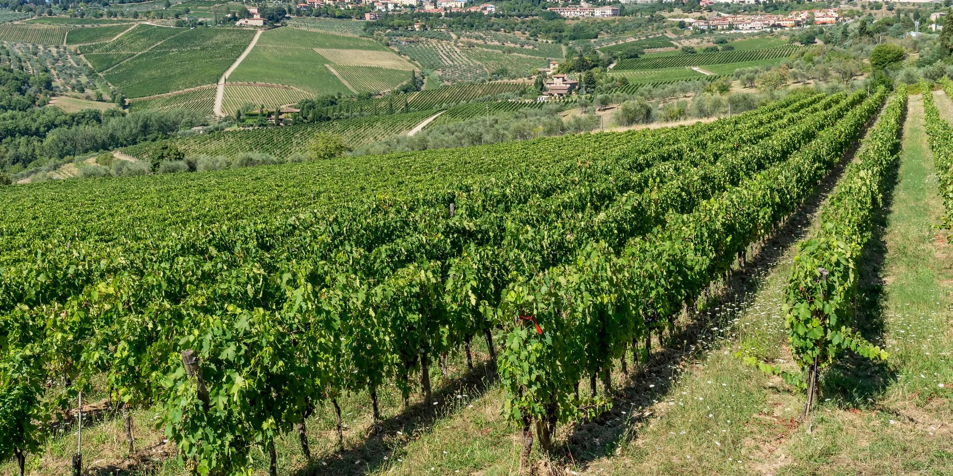 Séjour hédoniste en Toscane à Panzano in Chianti