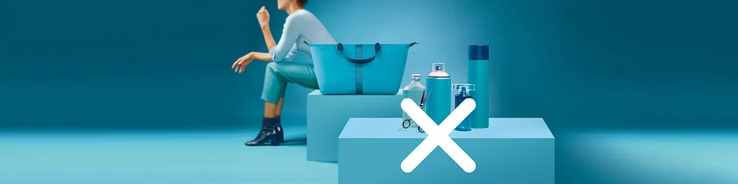 Qué puedo transportar? | France