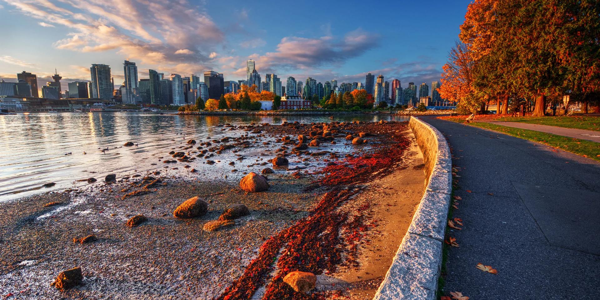 From Vancouver to Seattle: a road trip amidst nature in the heart of the Pacific Northwest  