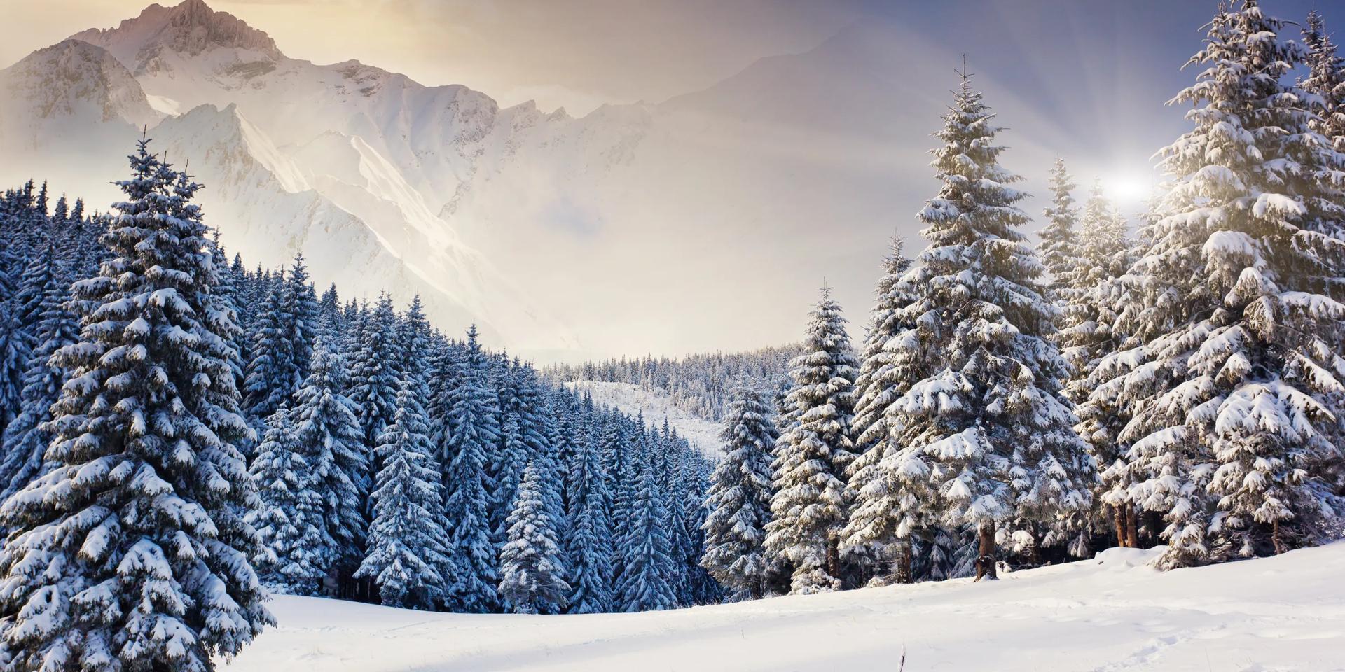 Where shall we go in January 2020?