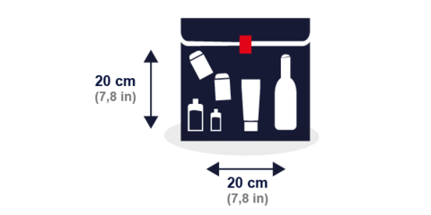 basic economy united personal item size