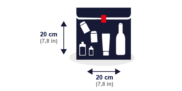 Можно ли духи в ручную кладь. Пакет для ручной клади в самолете. Пакет для жидкостей в ручной клади. Пластиковый пакет для ручной клади. Мешок для жидкостей в ручную кладь.