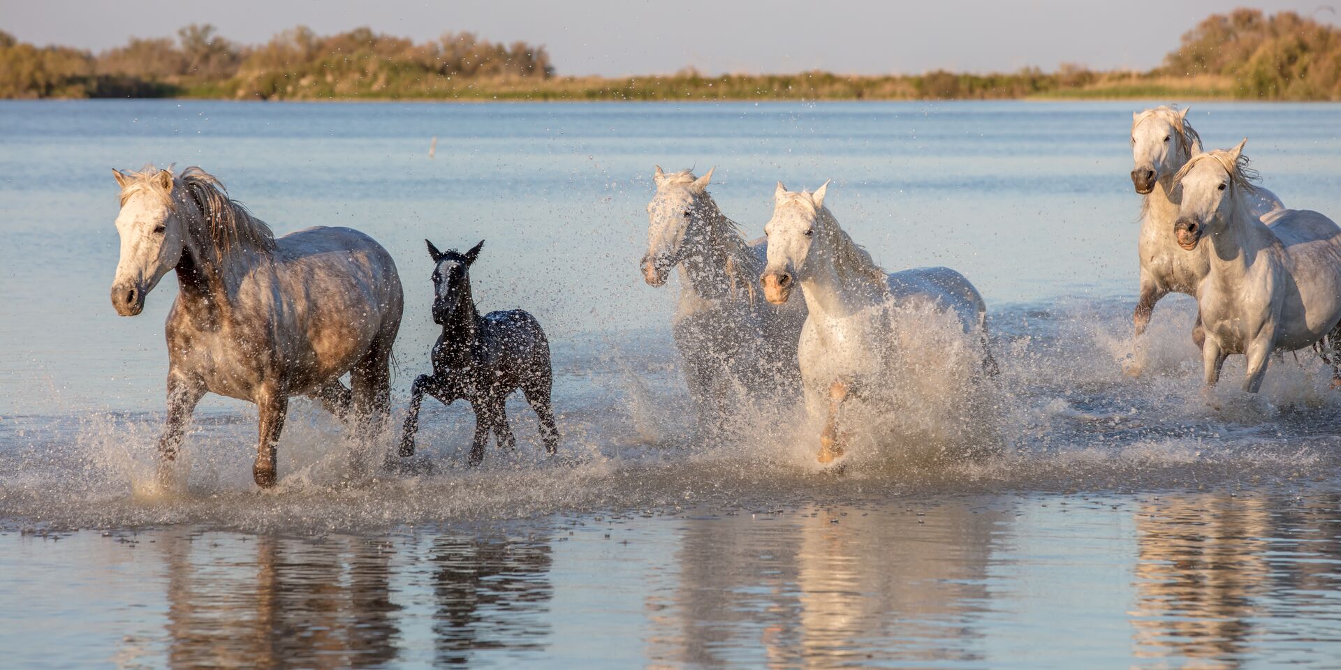 Horseback riding: A feeling of freedom