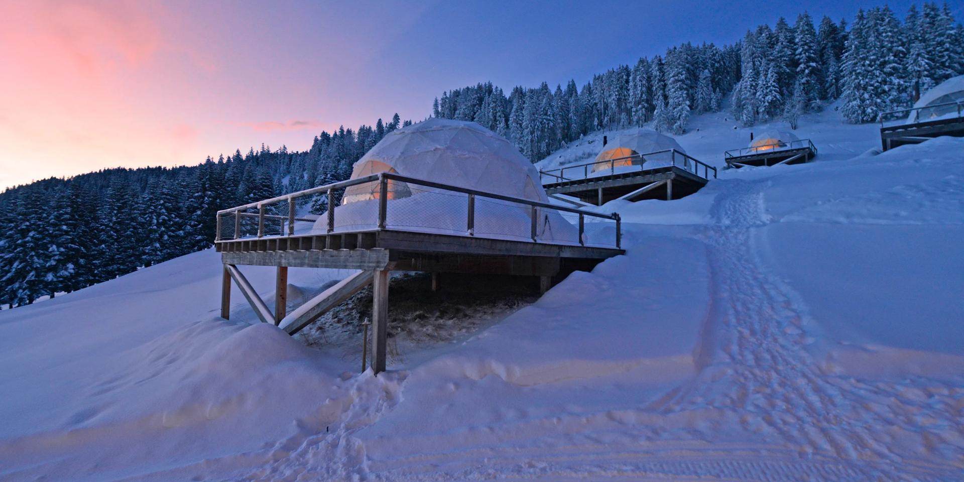 10 logements écoresponsables sublimes dans le monde