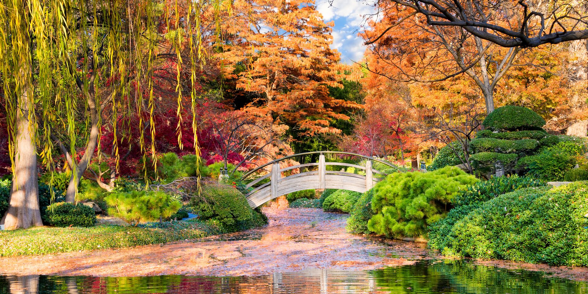 Dallas, le jardin japonais