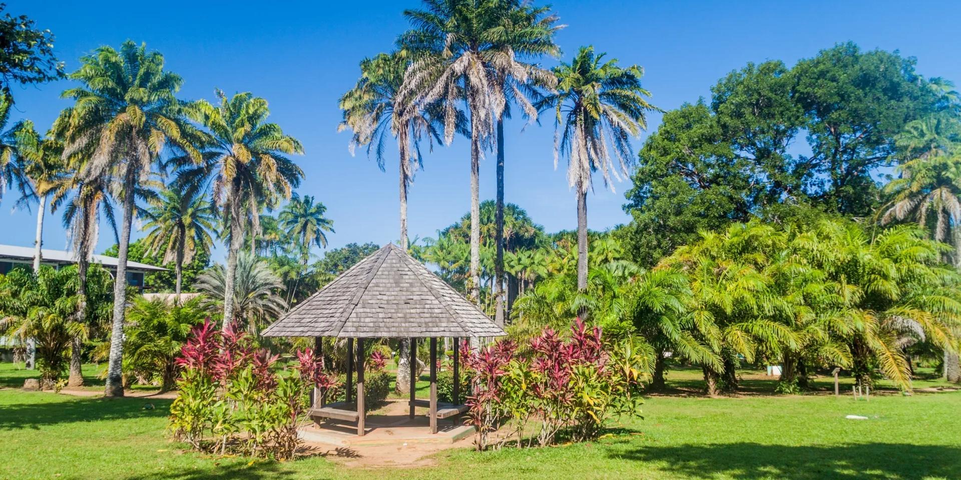 Flight to Cayenne Cheap flights to French Guiana Air France