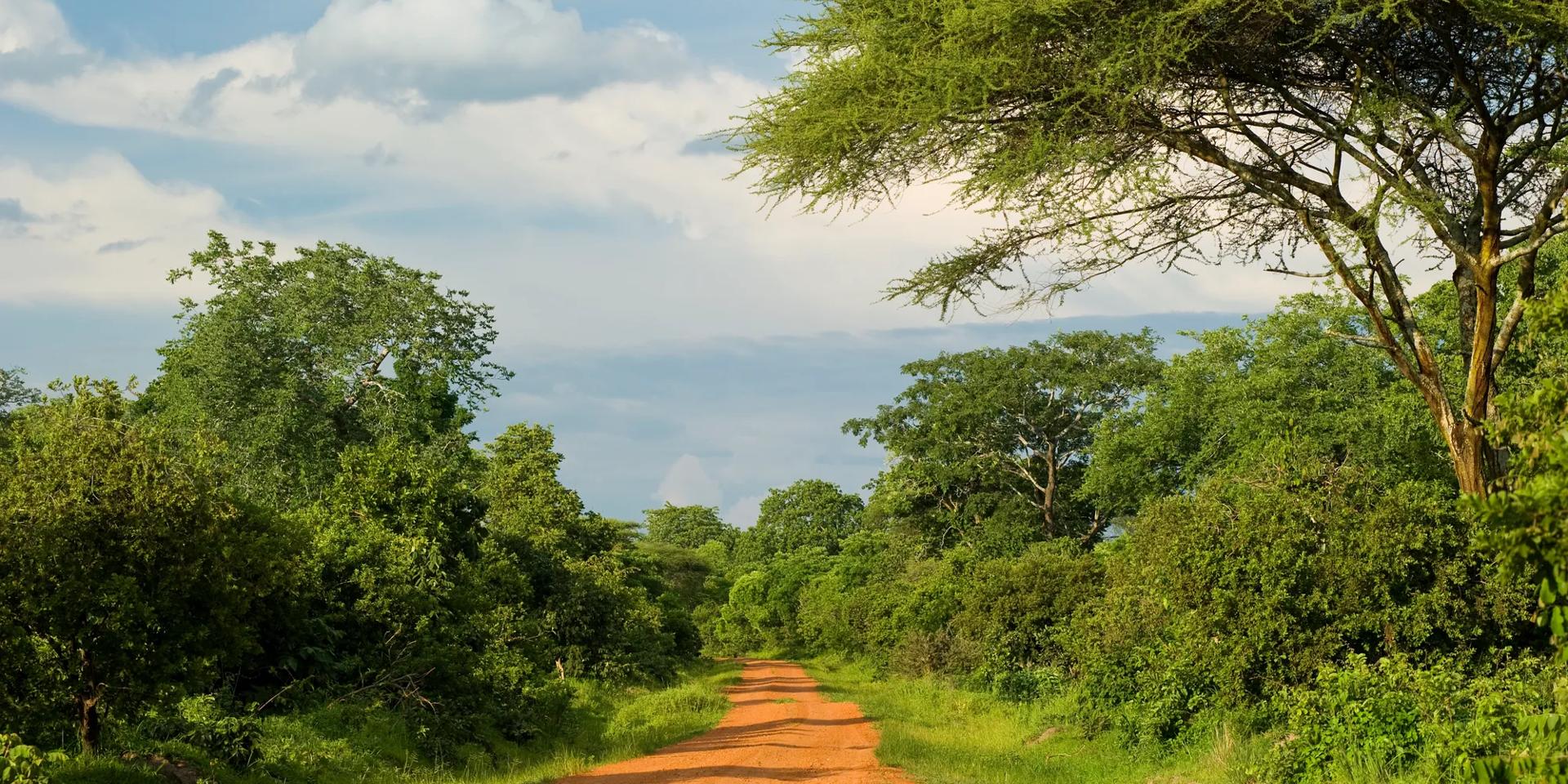 Flight London Kinshasa from GBP 516 RT cheap flights Kinshasa