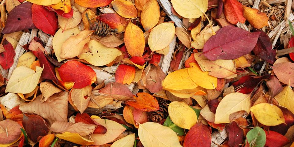 DESTINATION OF THE MONTH