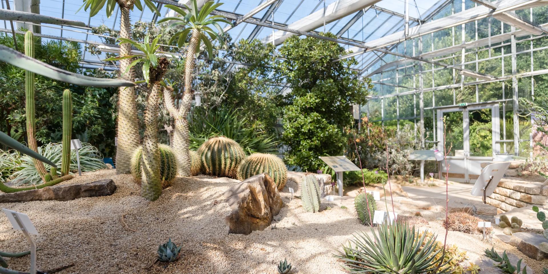 3 jardins botaniques magiques pour une parenthèse hors du temps