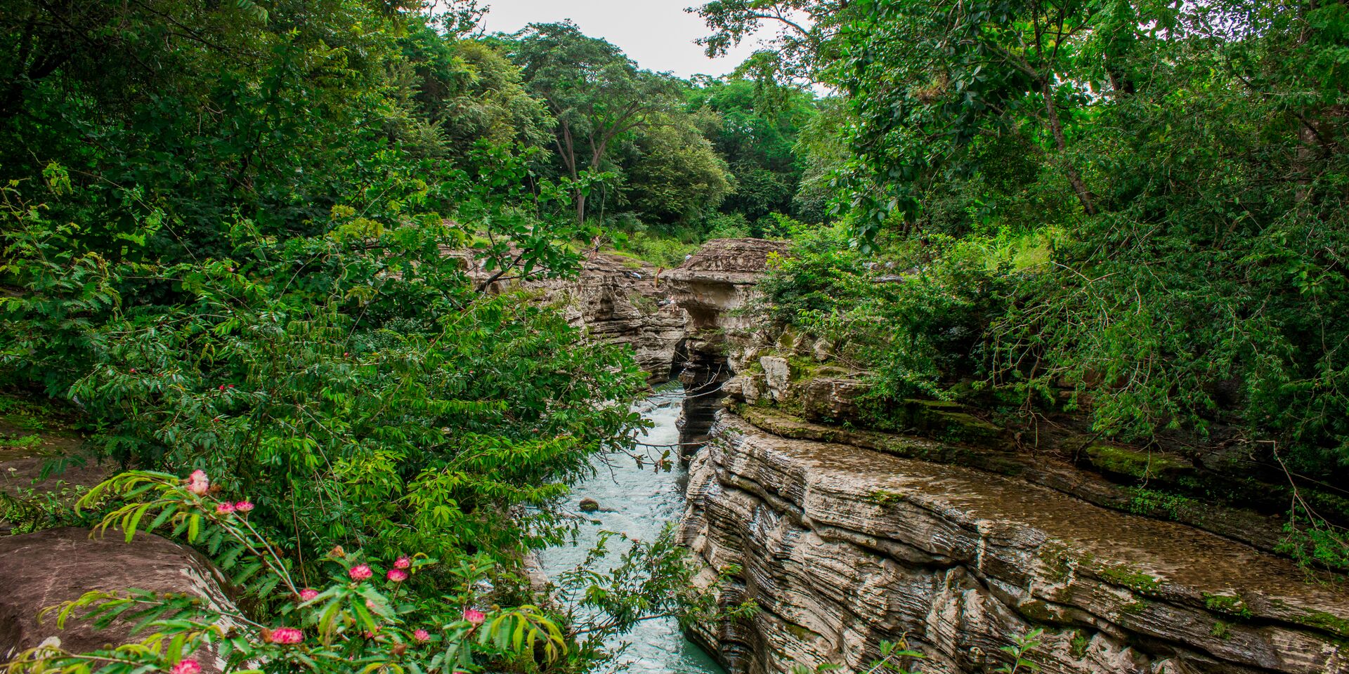 La biodiversité au Panama