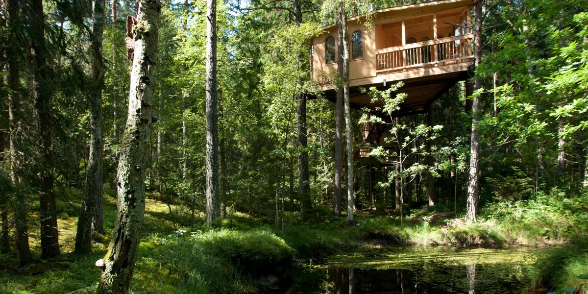 10 logements écoresponsables sublimes dans le monde