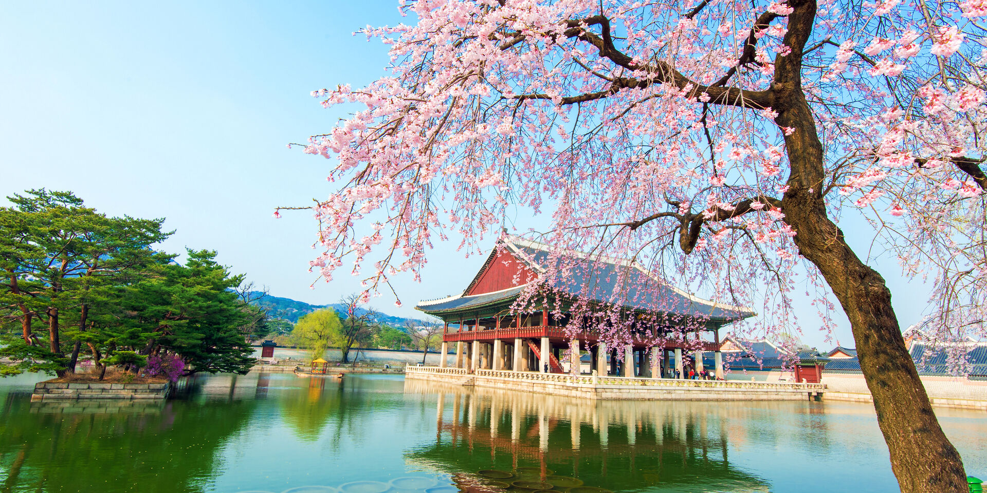 seoul visual