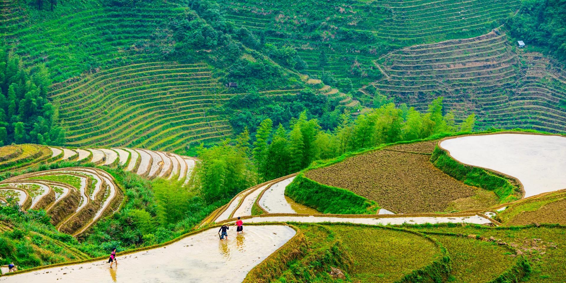 Road trip sensationnel en Chine