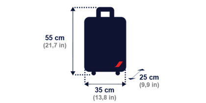 size of plastic bag for hand luggage