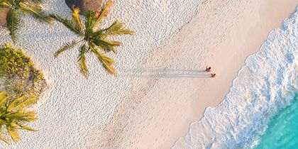 Zanzibar, Aerial view of beach