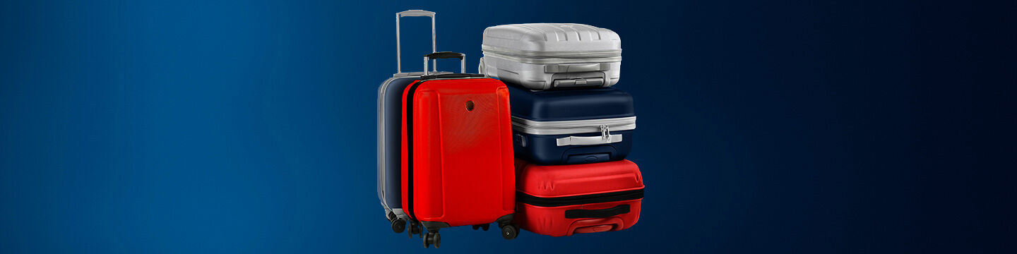 Online discount baggage tracing