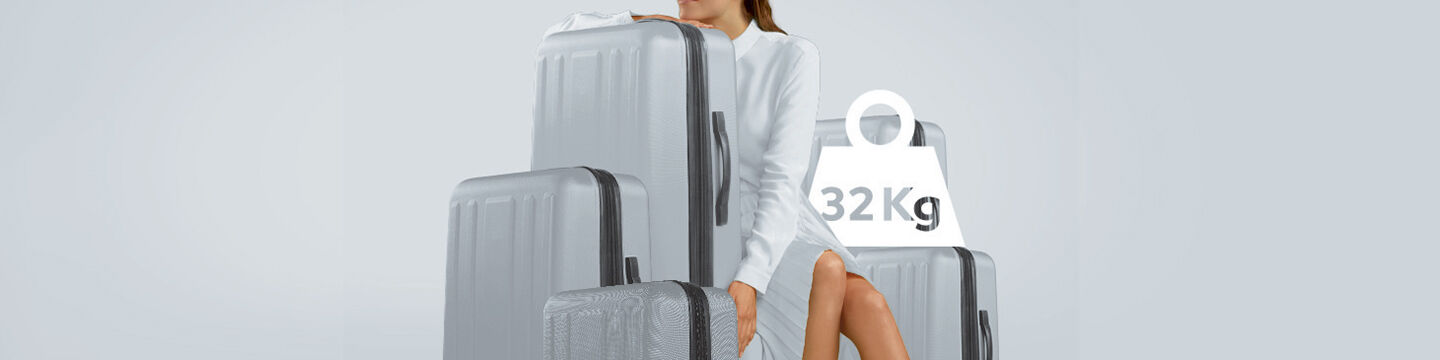 Additional and overweight baggage Air France