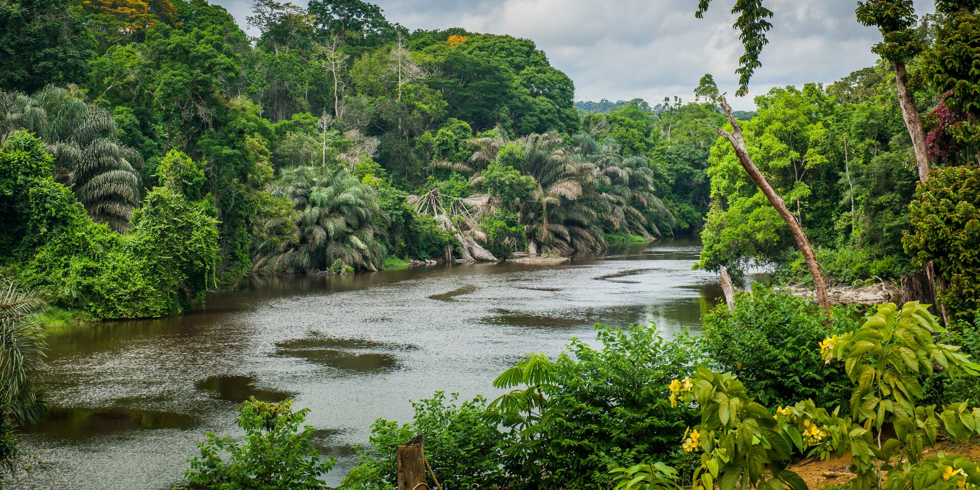 Douala / Yaoundé 6