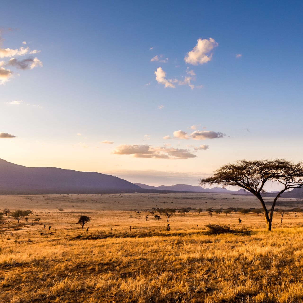 tourism infrastructure in kenya