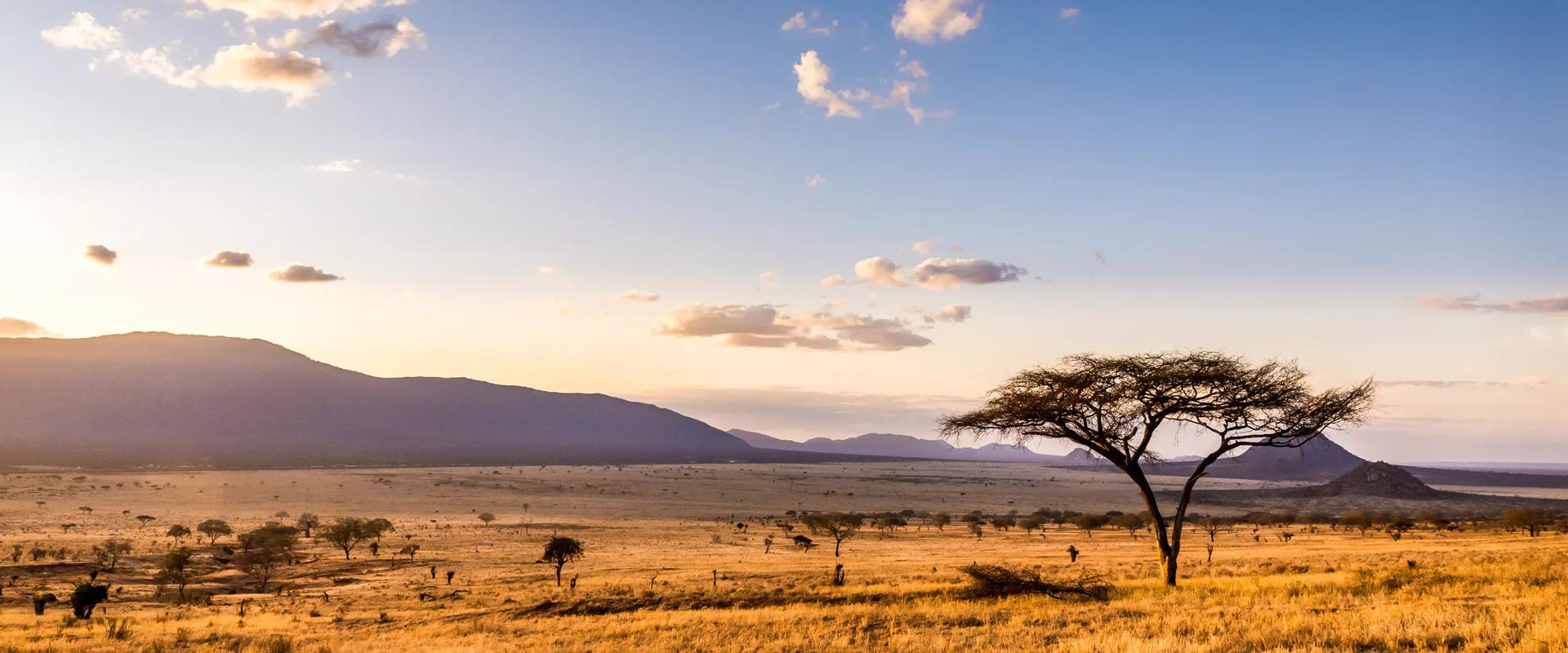 Travel Guide Nairobi Plan your trip to Nairobi