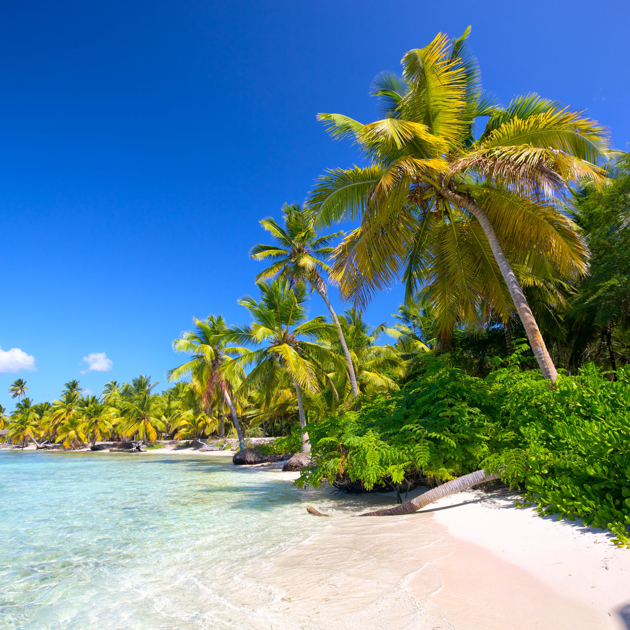 Guide touristique Saint Domingue - Organisez votre séjour à Saint ...