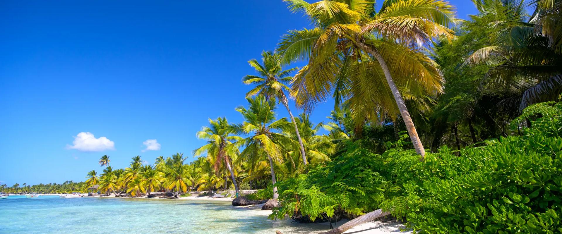 Guide touristique Saint Domingue Organisez votre séjour à Saint