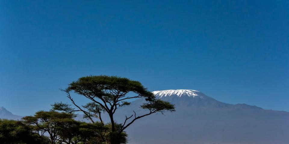 Günstige Flüge und tolle Flugangebote Air France Deutschland
