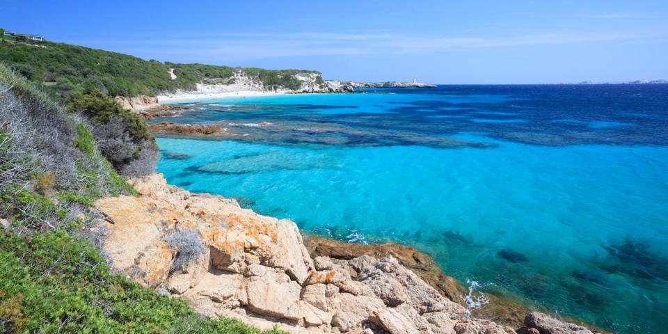 Figari