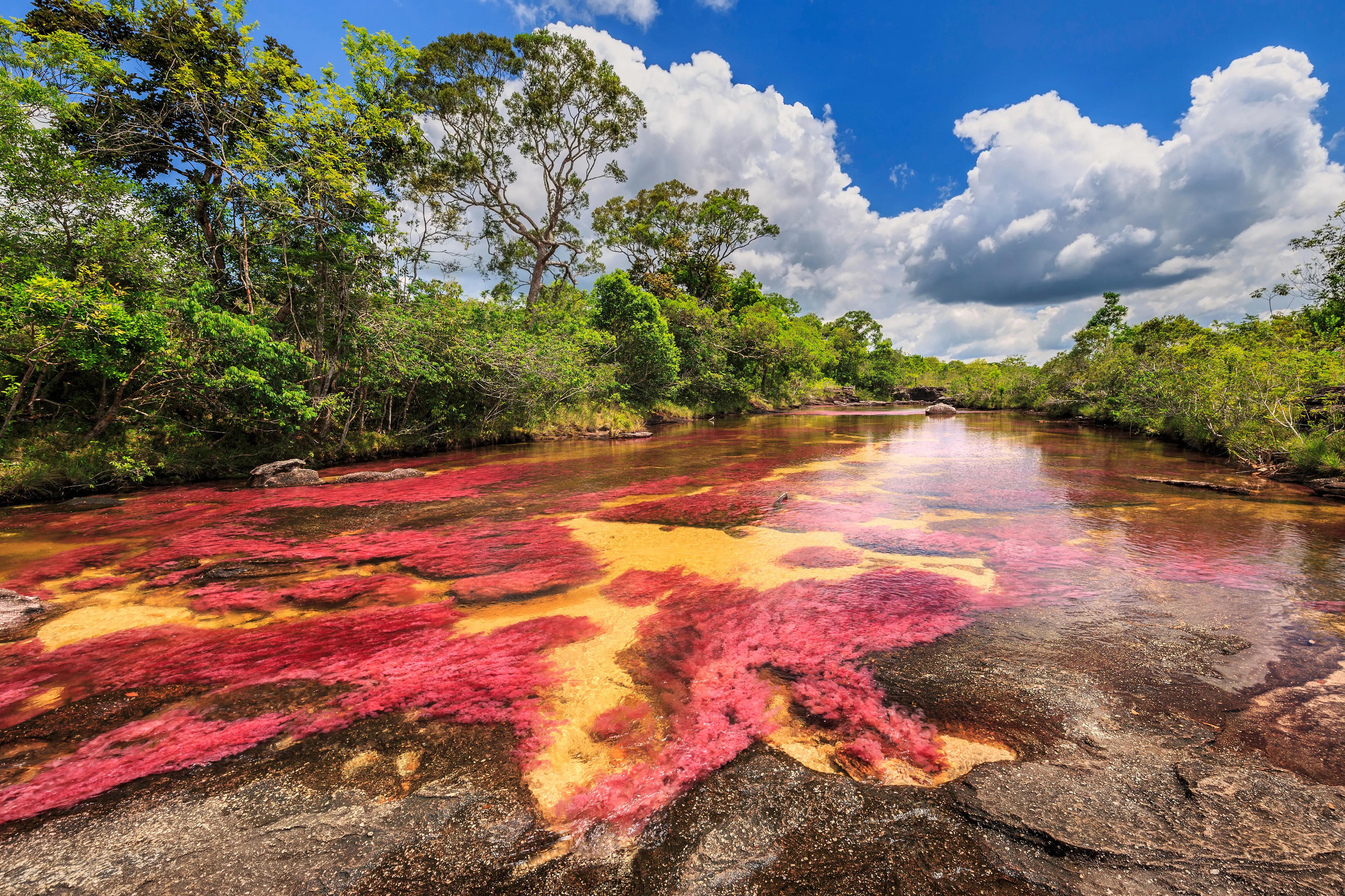 Cano Cristales