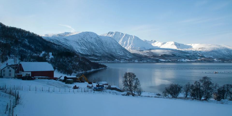 Kirkenes