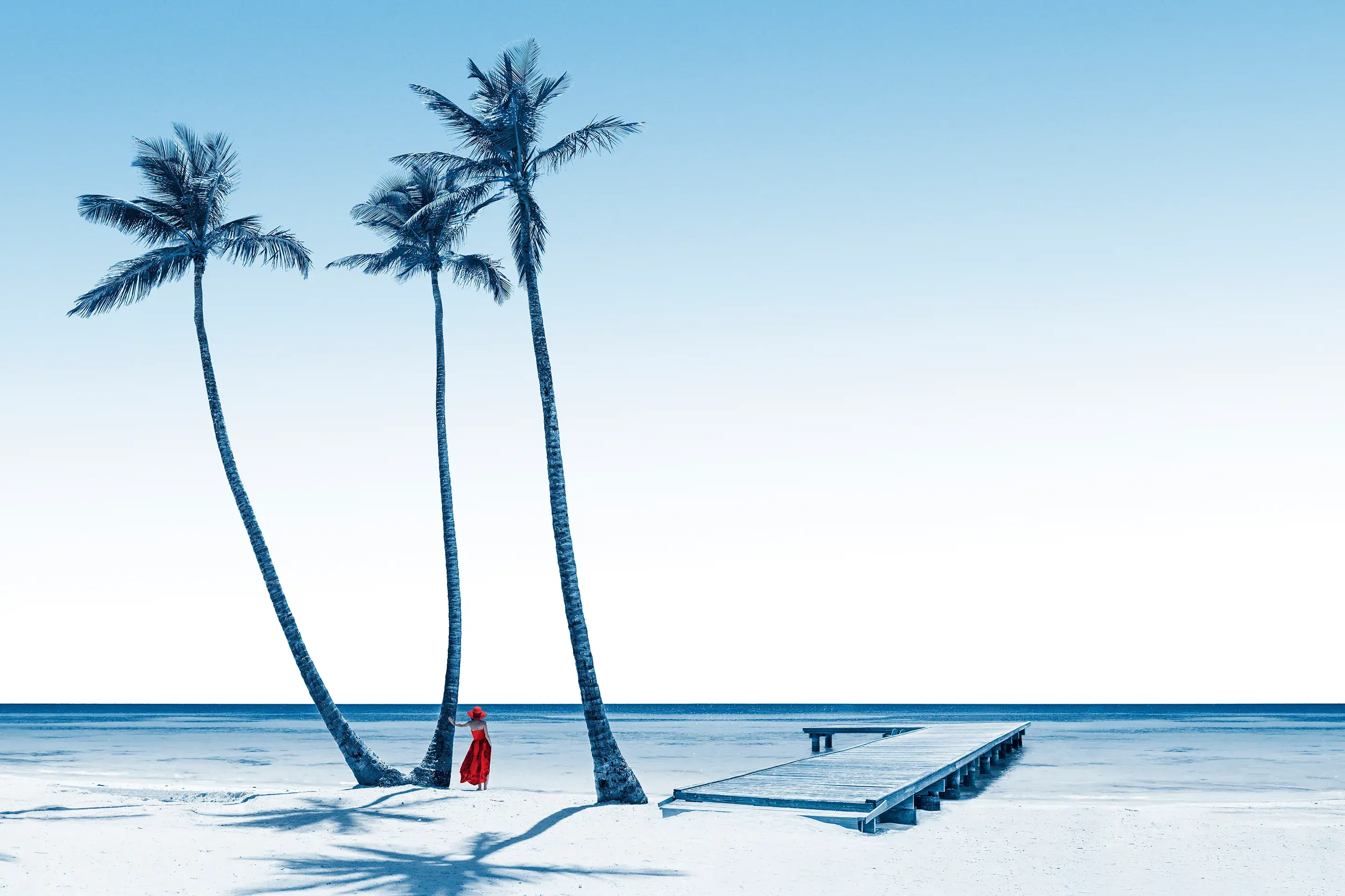 Palm trees