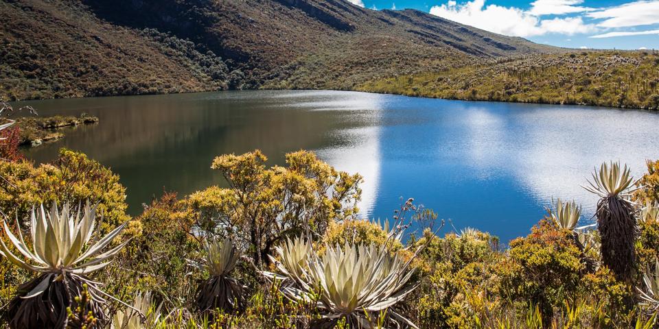 Bogota