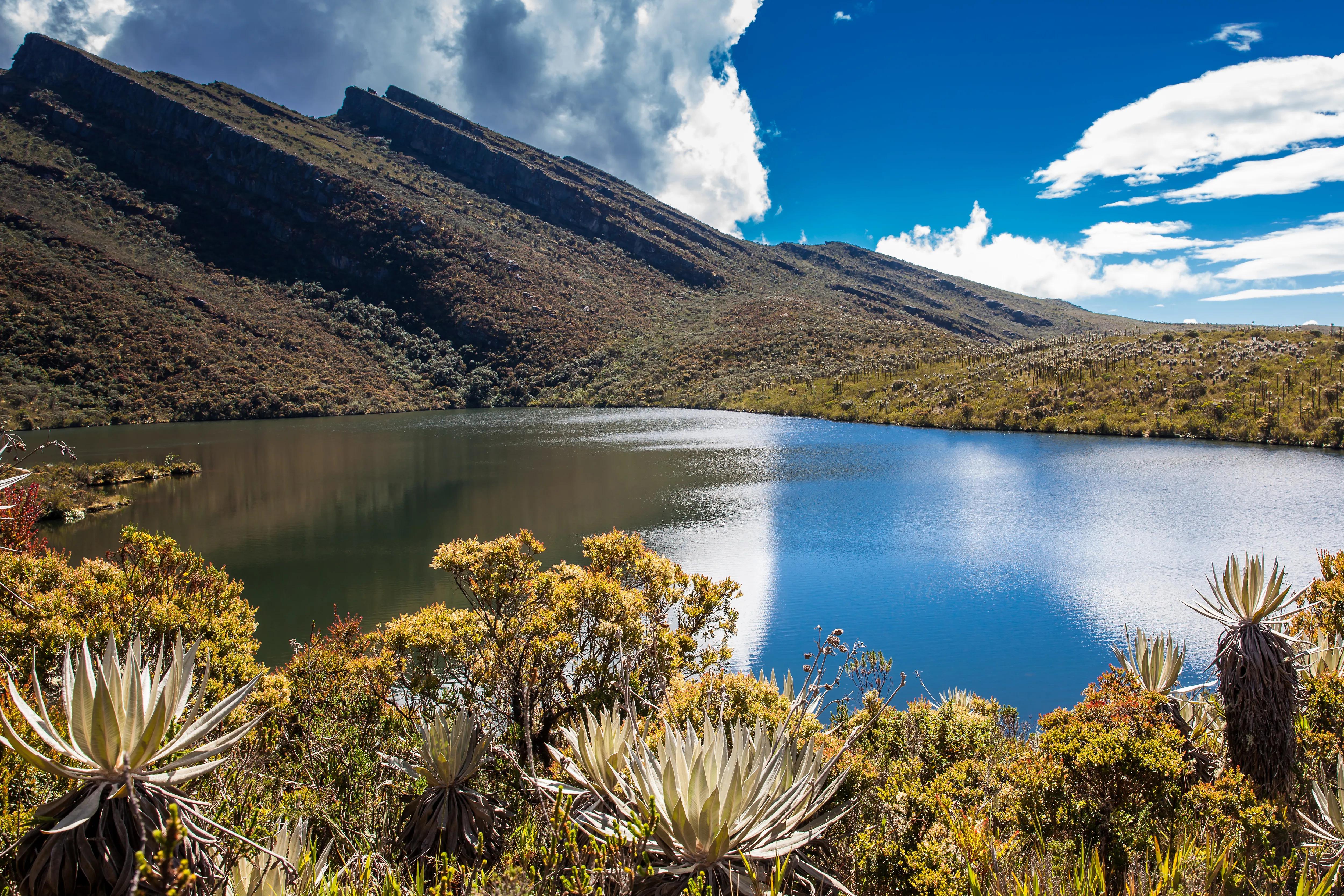 Bogota