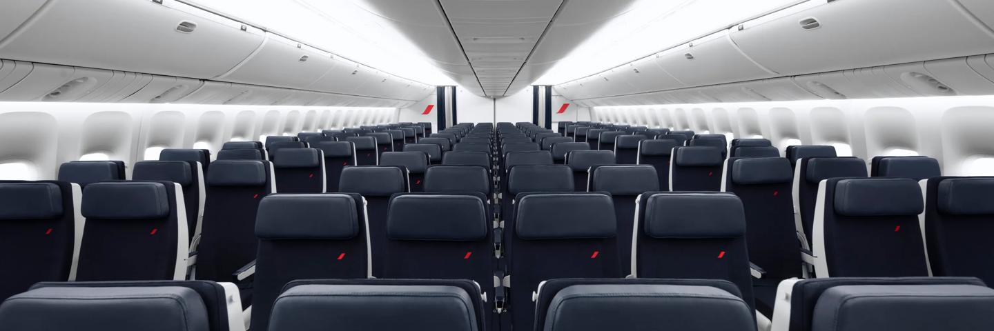 Seatback economy screen