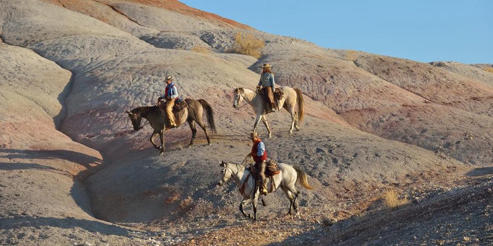 L'équitation, souffle de liberté