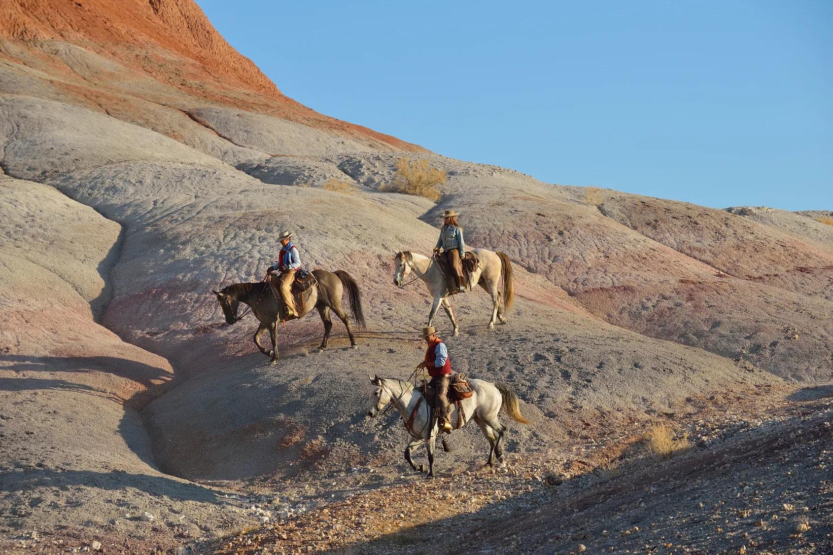 Horseback riding: A feeling of freedom