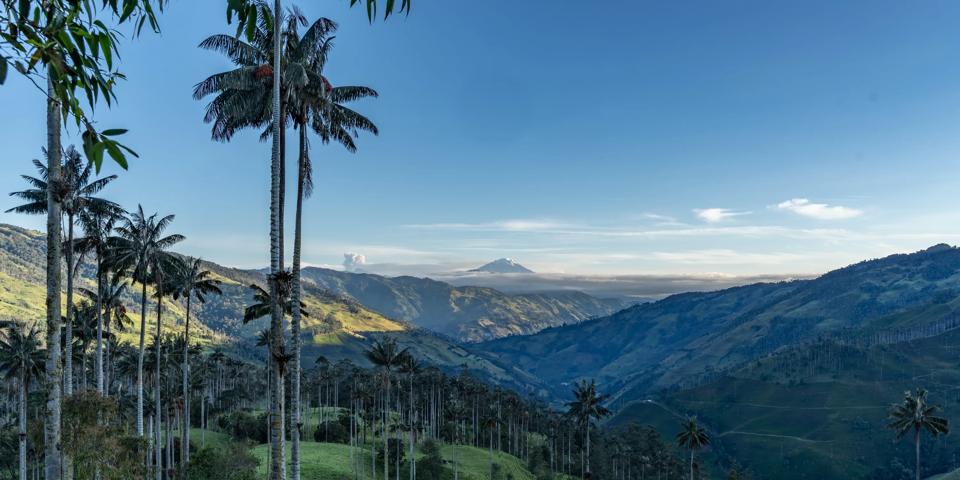 Vallée du Cocora