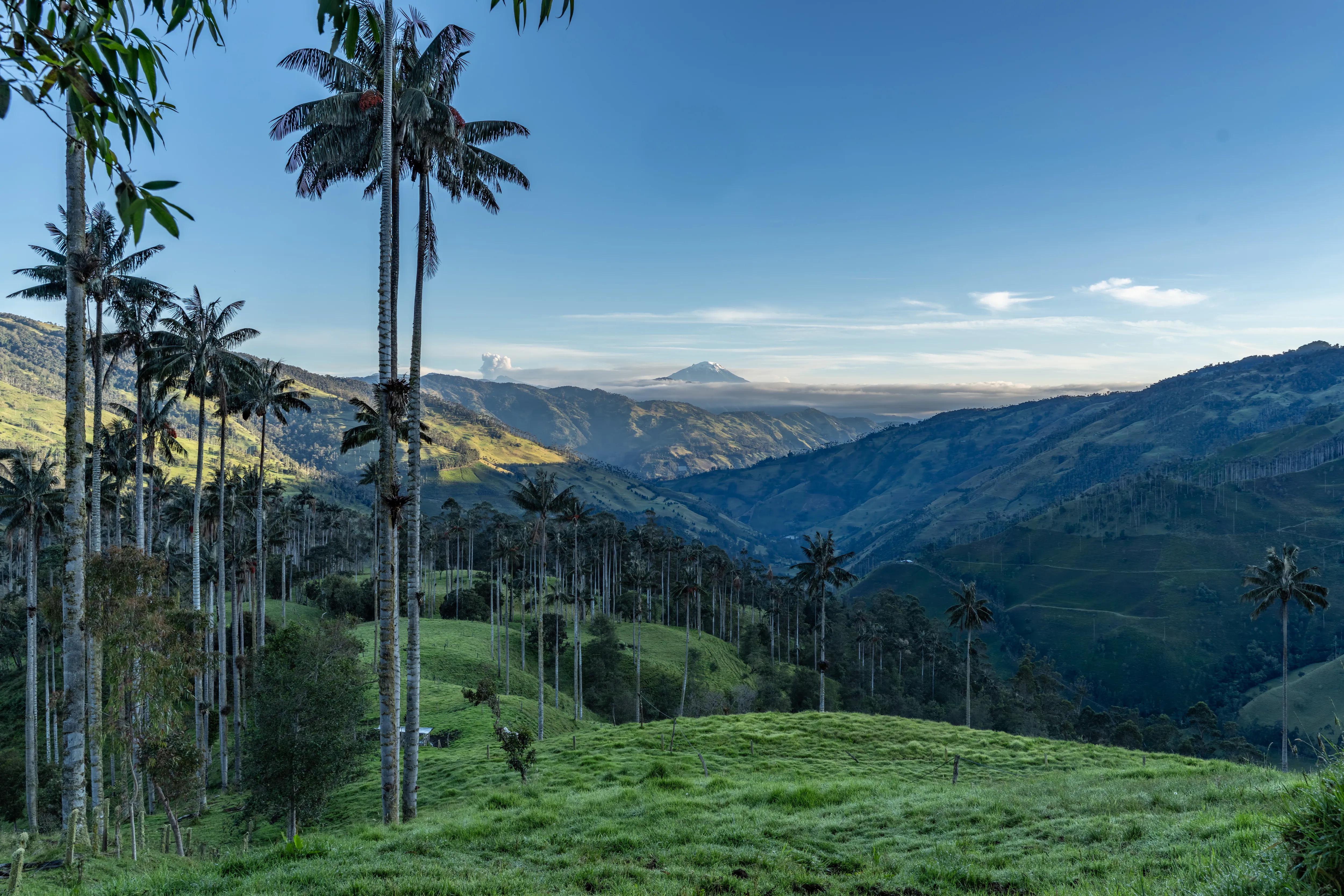 Vallée du Cocora