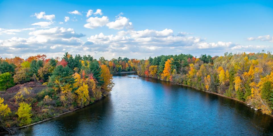 vibrant colors of October. wide panoramic view of a beautiful serenity yellow-orange autumn morning park with lush trees reflected in the river water. picturesque fall landscape