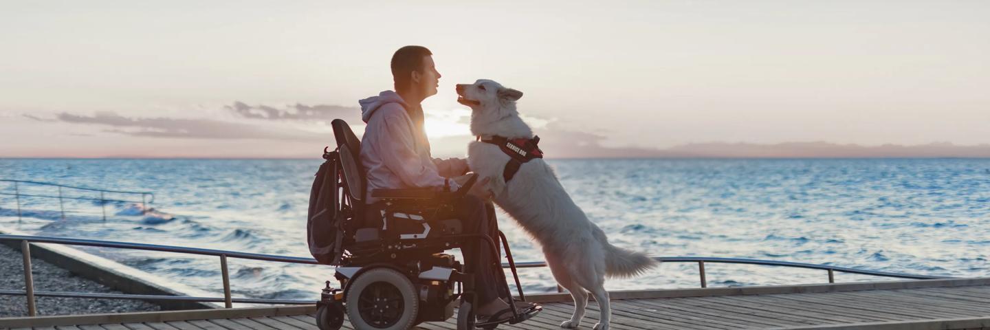 chien-assistance